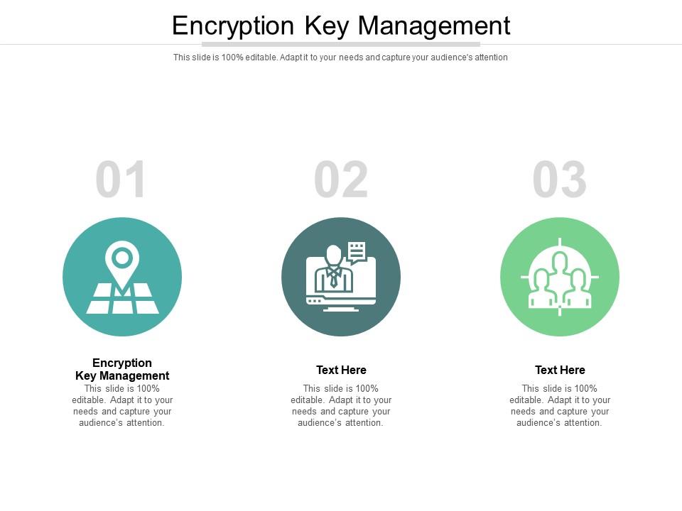 Encryption Key Management Ppt Powerpoint Icon Template Cpb ...