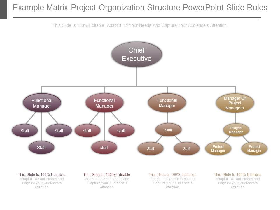 Example matrix project organization structure powerpoint slide rules Slide01