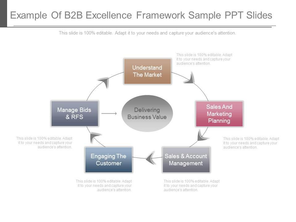 Example of b2b excellence framework sample ppt slides Slide00