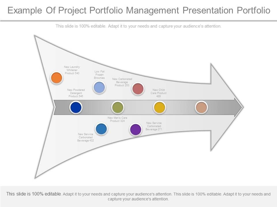 Example Of Project Portfolio Management Presentation Portfolio ...