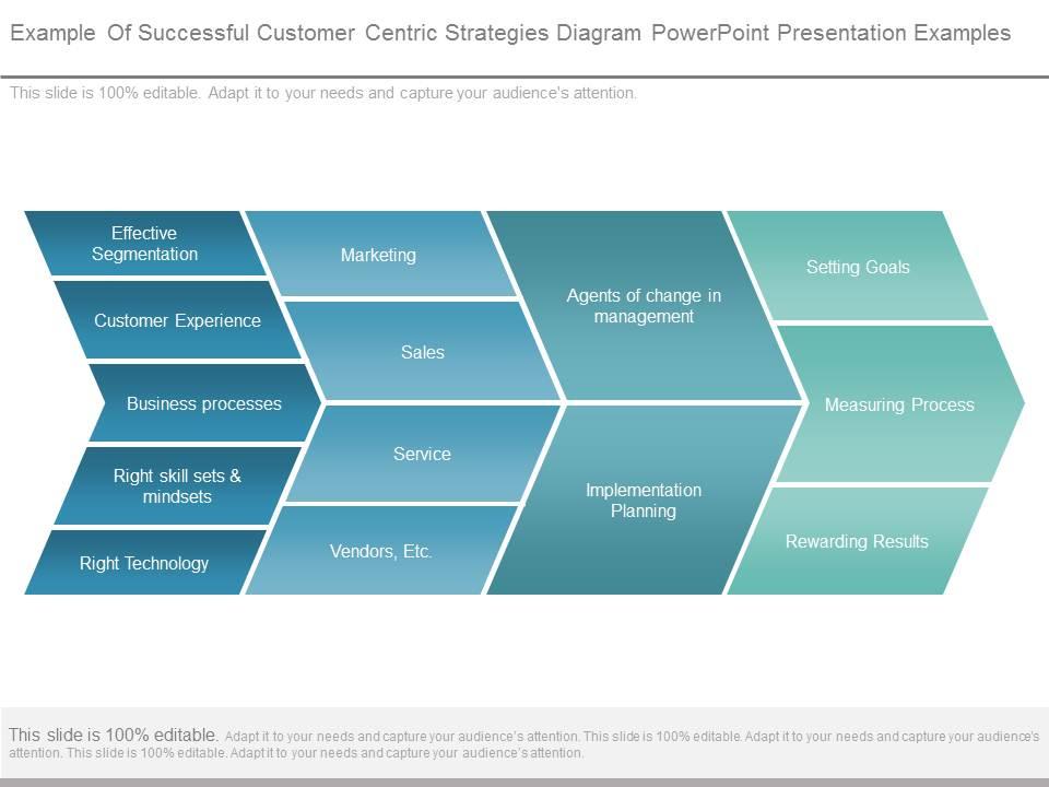 Example of successful customer centric strategies diagram powerpoint presentation examples Slide01