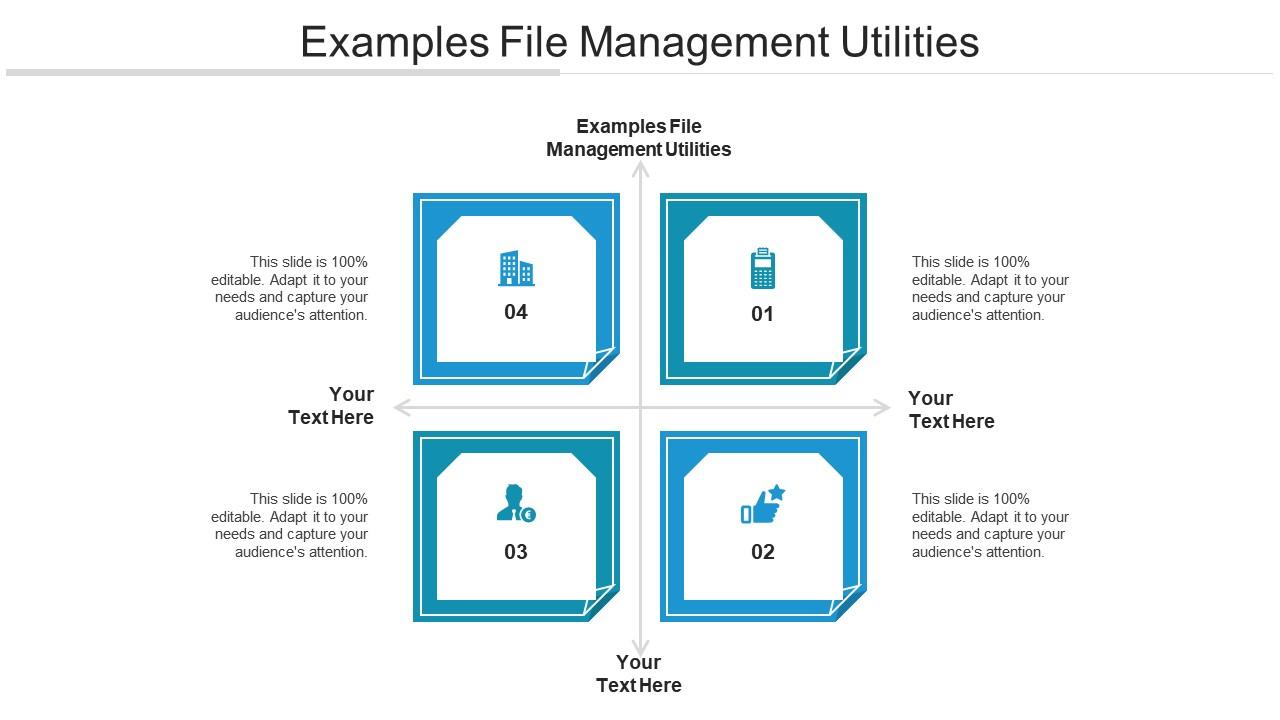 Examples File Management Utilities Ppt Powerpoint Presentation Slides