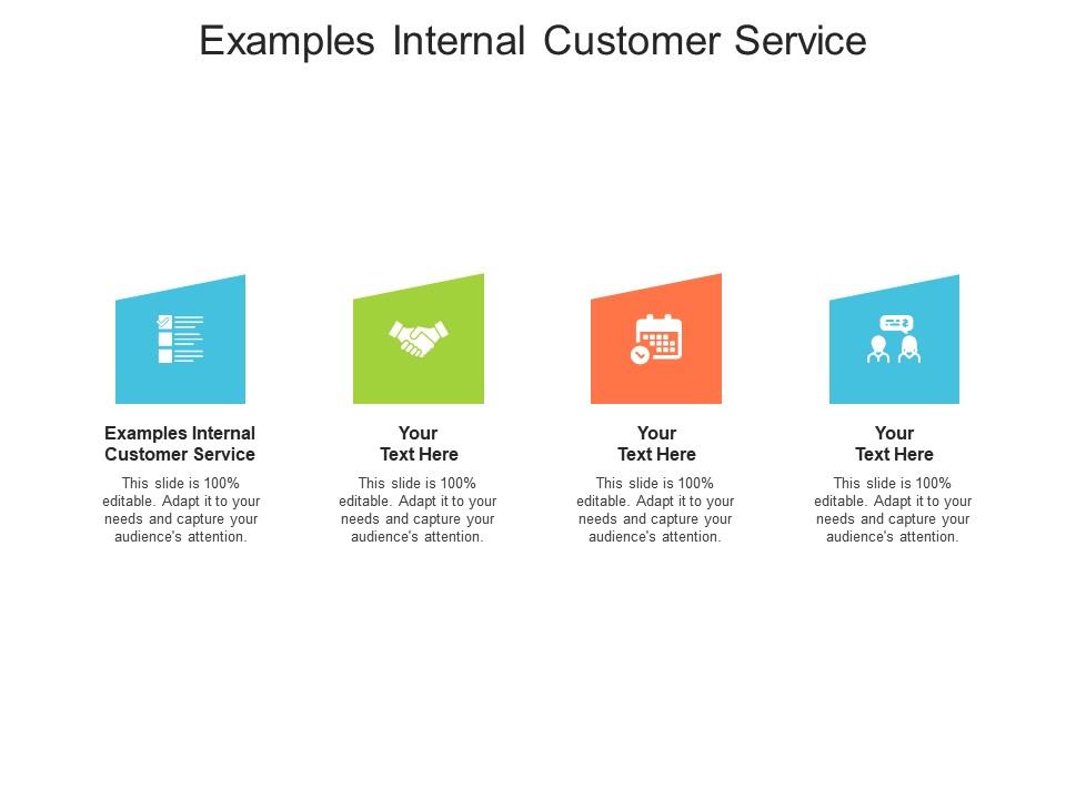 Examples Internal Customer Service Ppt Powerpoint Presentation Layouts ...