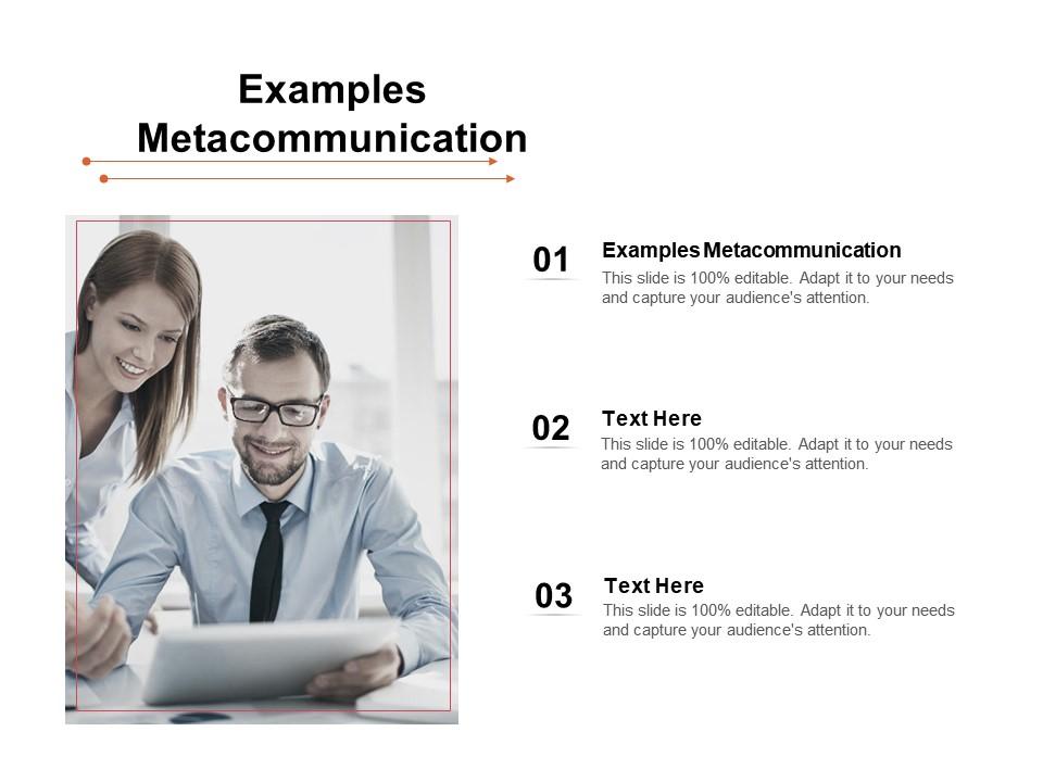 Examples Ppt Powerpoint Presentation Inspiration