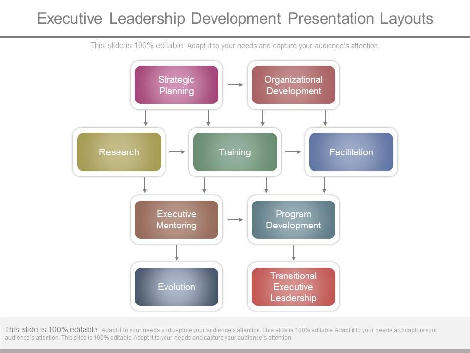 Executive leadership development presentation layouts Slide01