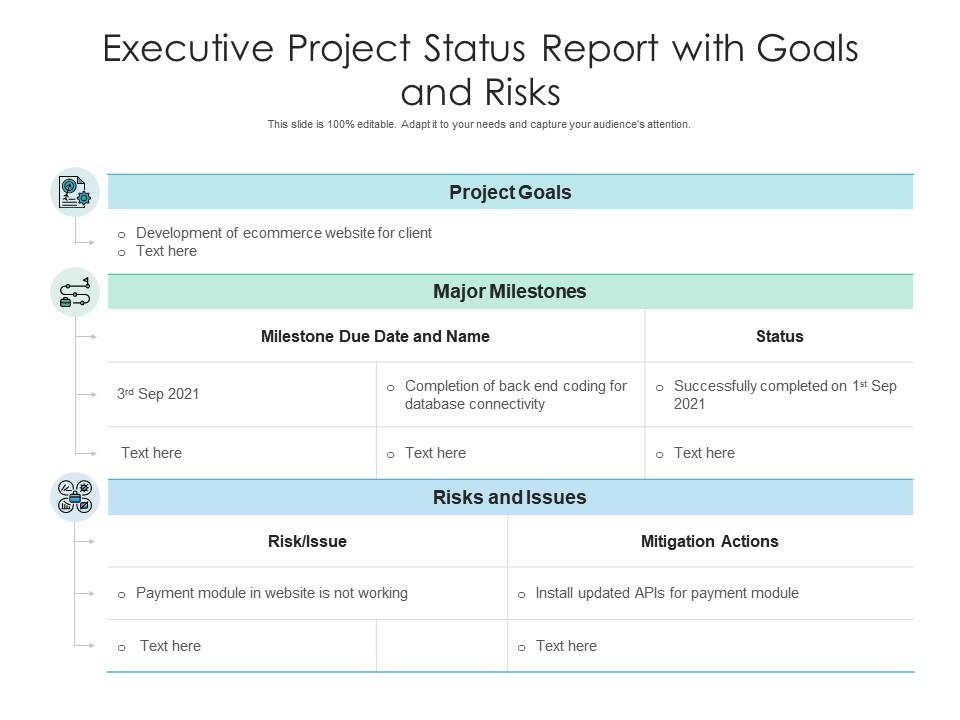 Executive project status report with goals and risks Slide01