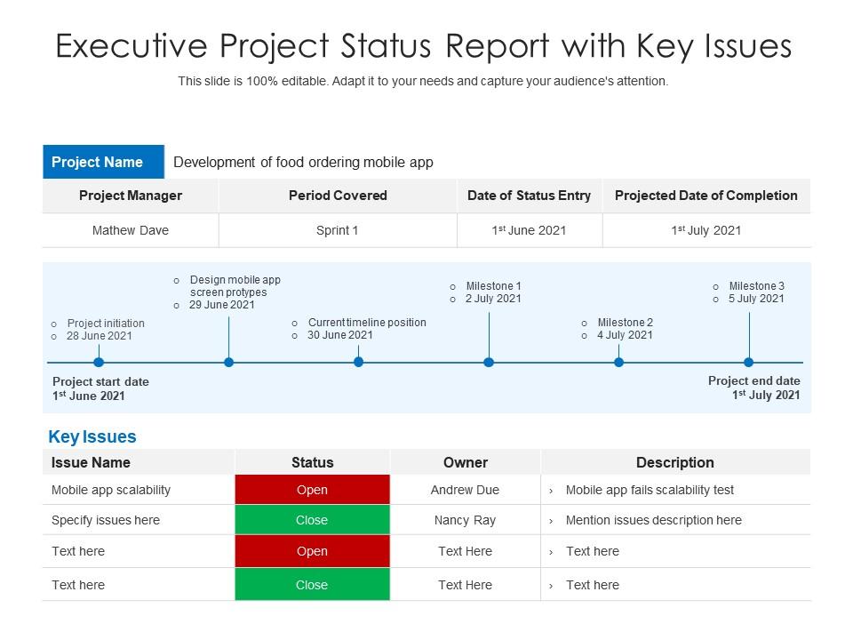 Executive project status report with key issues