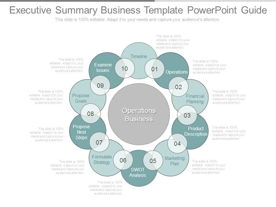 Executive summary business template powerpoint guide Slide00