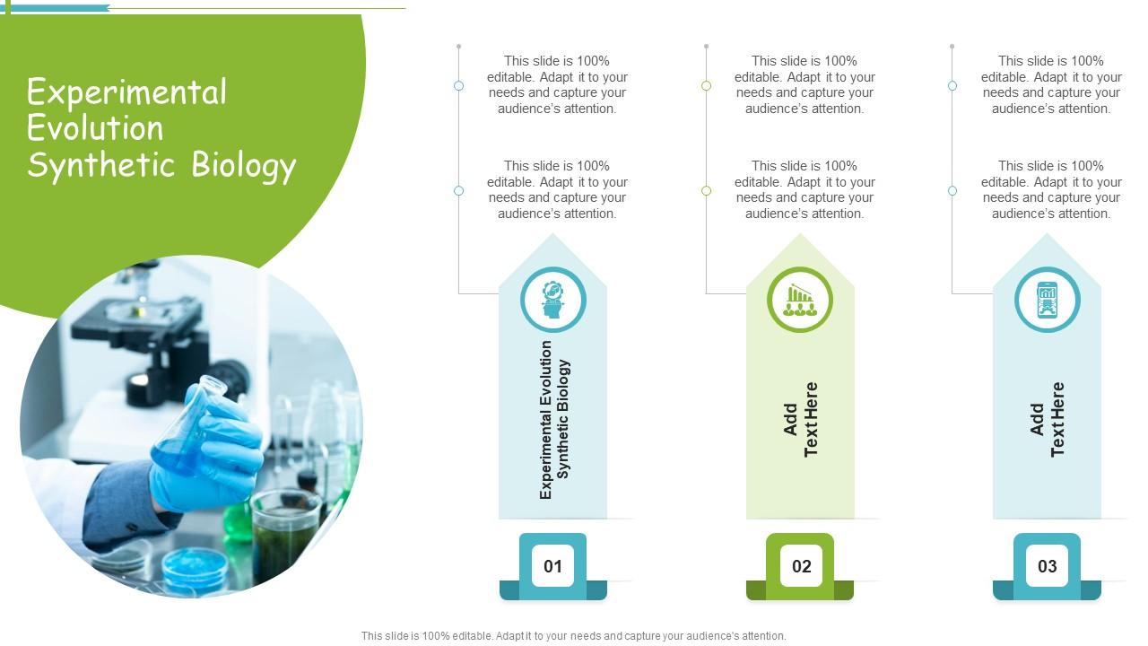 Experimental Evolution Synthetic Biology In Powerpoint And Google ...