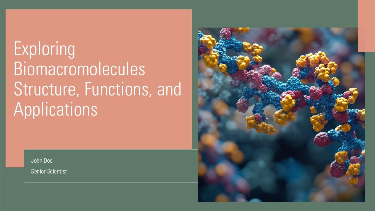 Exploring Biomacromolecules Structure Functions And Applications PPT ...