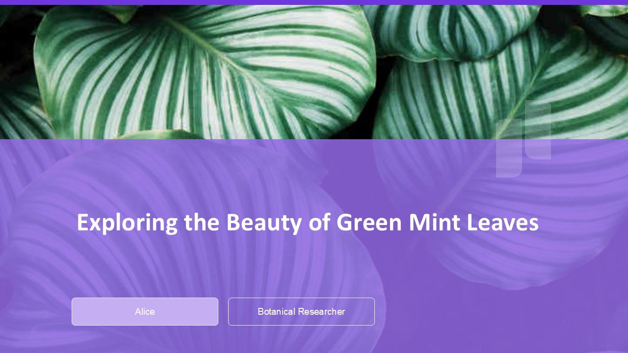 Exploring The Beauty Of Green Mint Leaves PPT Graphics AT