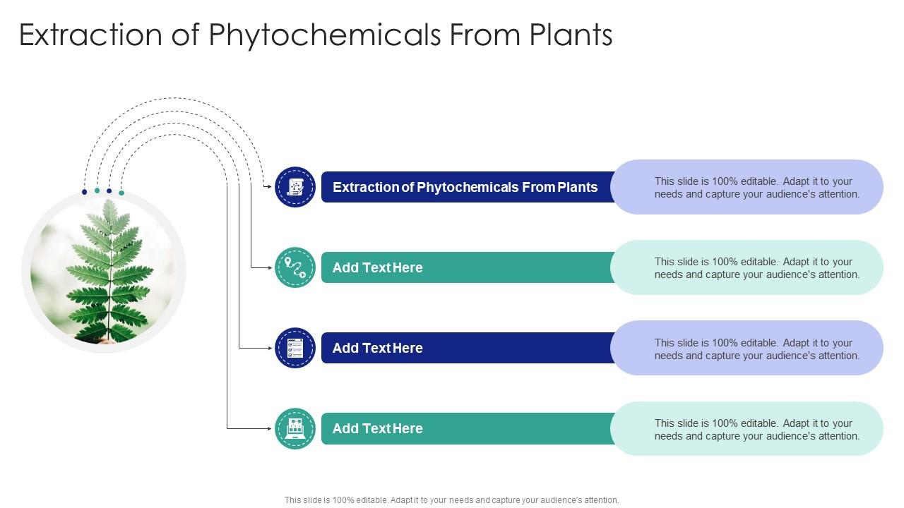 Extraction Of Phytochemicals From Plants PPT Sample CPP