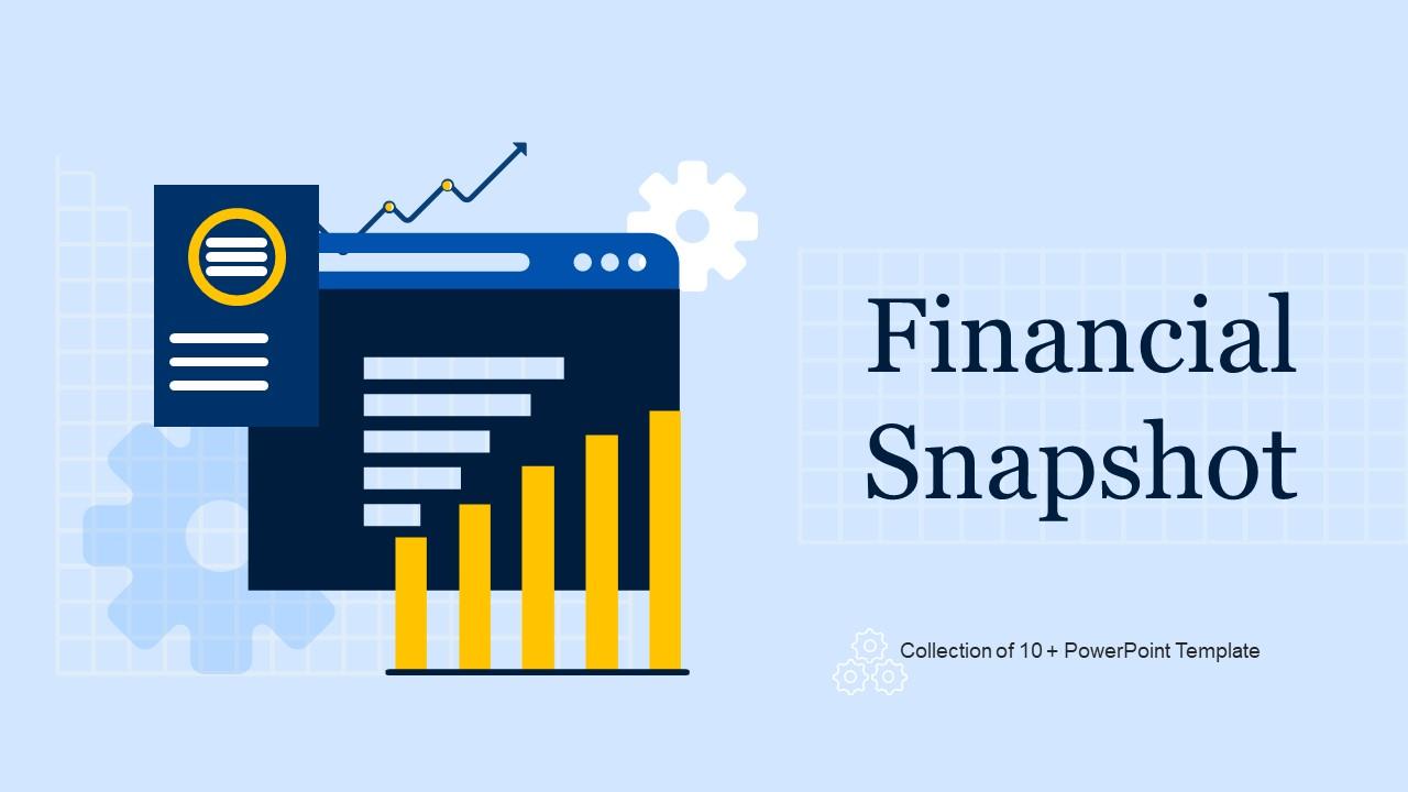 Financial Snapshot Powerpoint Ppt Template Bundles