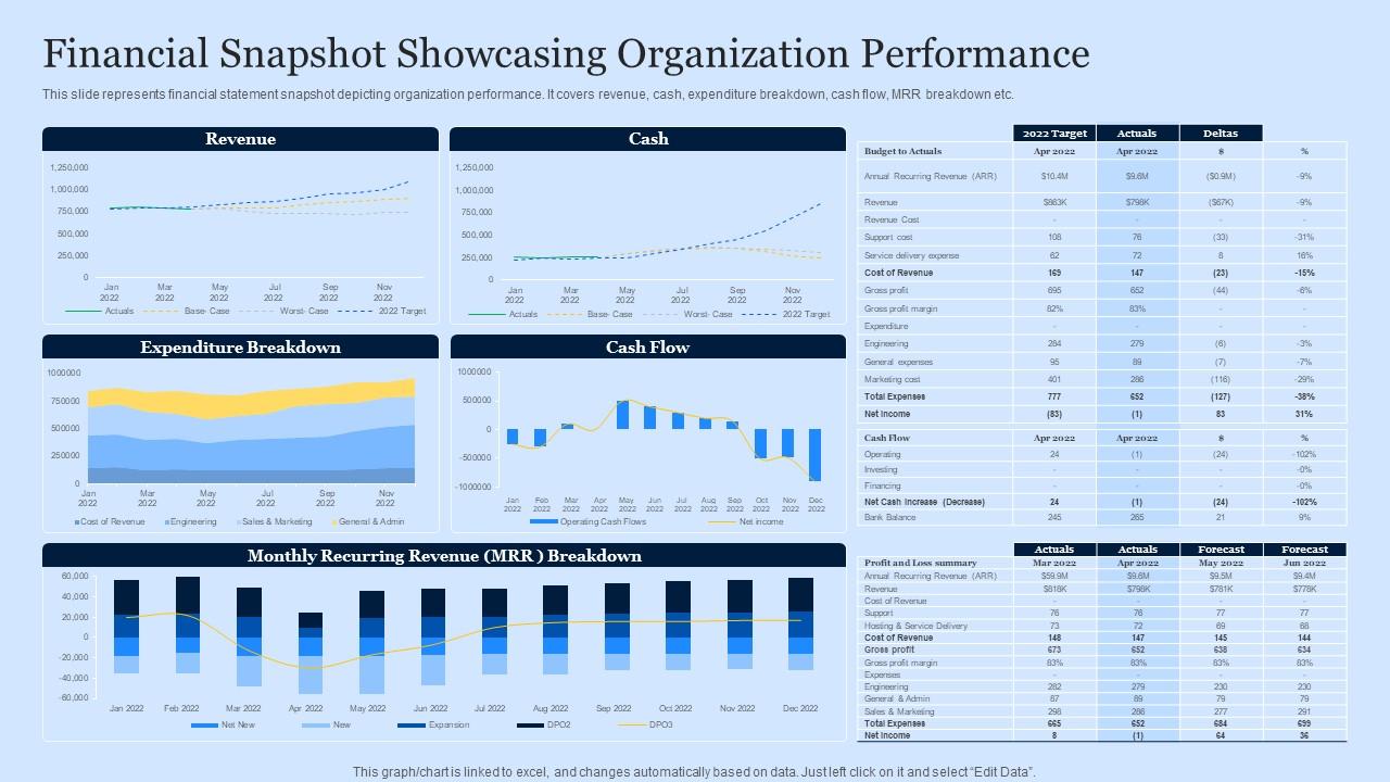 Financial Snapshot Showcasing Organization Performance PPT Example