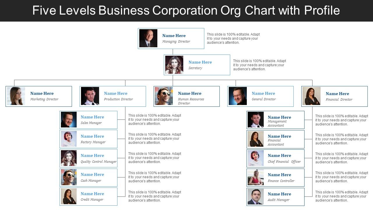 Five levels business corporation org chart with profile Slide00