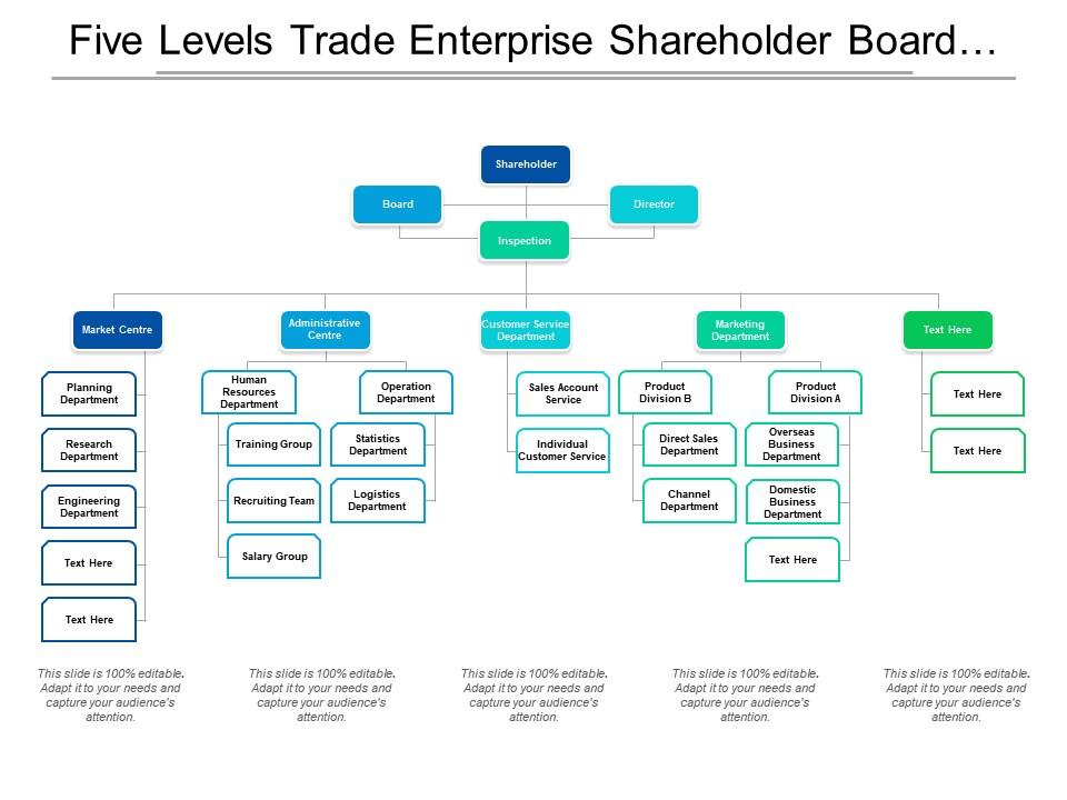 Five Levels Trade Enterprise Shareholder Board Director Org Chart