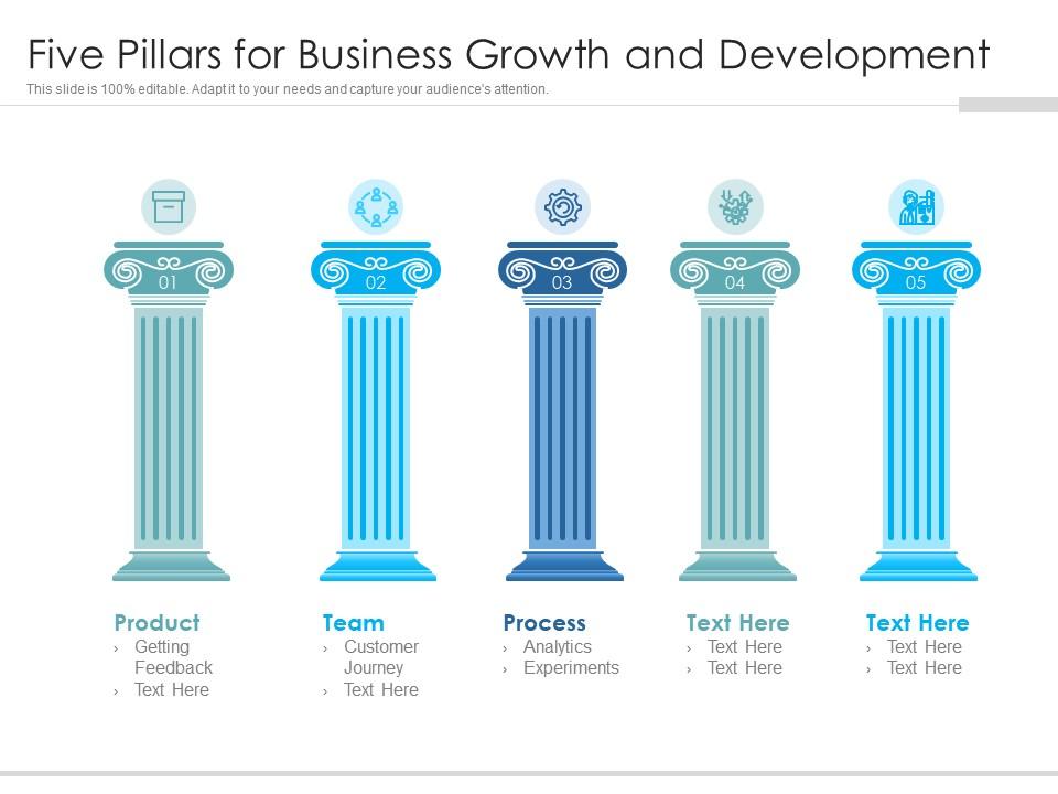 Five Pillars For Business Growth And Development