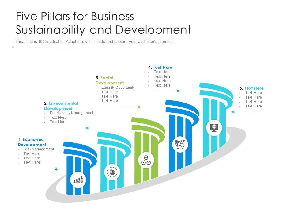 Five pillars for business sustainability and development