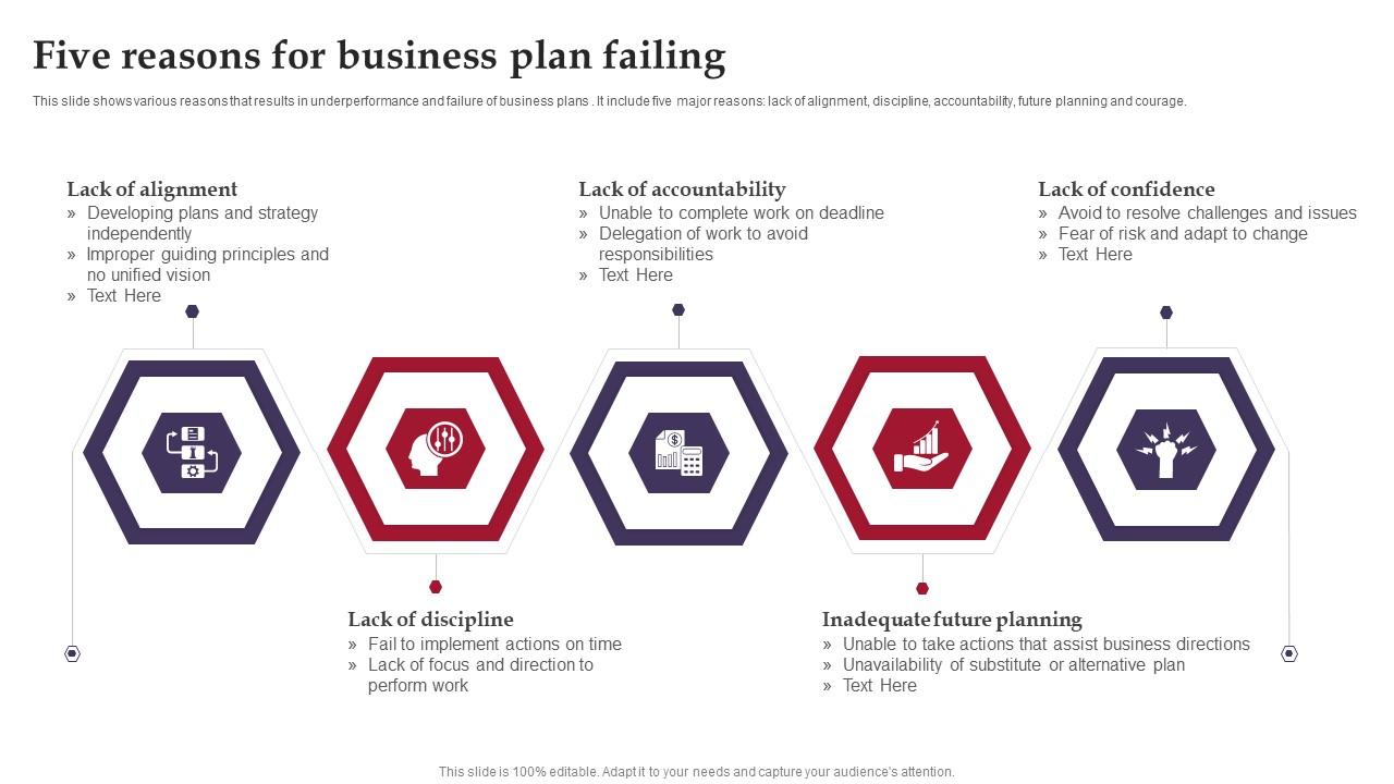 reasons for business plan failure