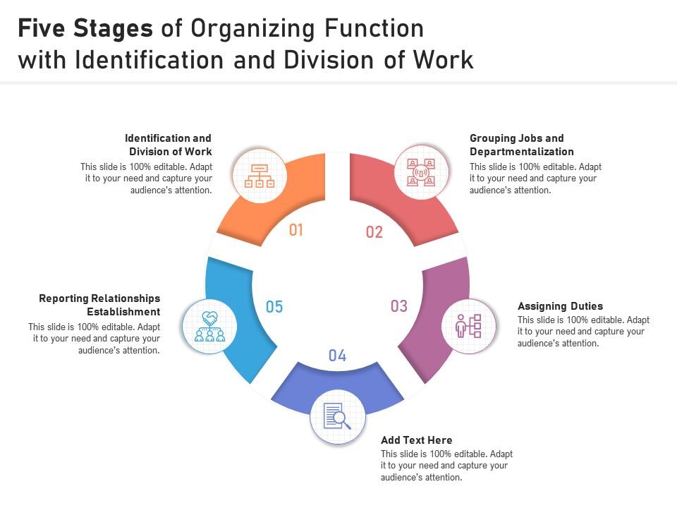 Five Stages Of Organizing Function With Identification And Division Of