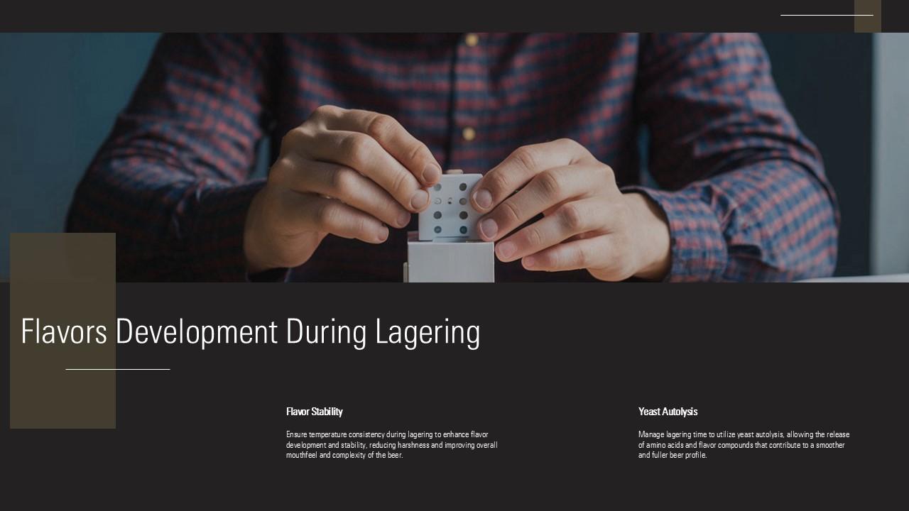 Flavors Development During Lagering Process PPT Presentation ST AI SS