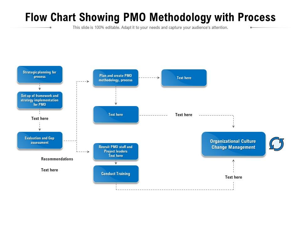 Flow chart showing pmo methodology with process Slide00