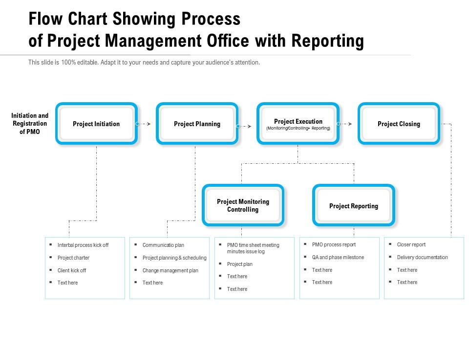 S Project Management Process Chart