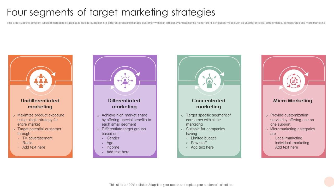 Four Segments Of Target Marketing Strategies PPT Example