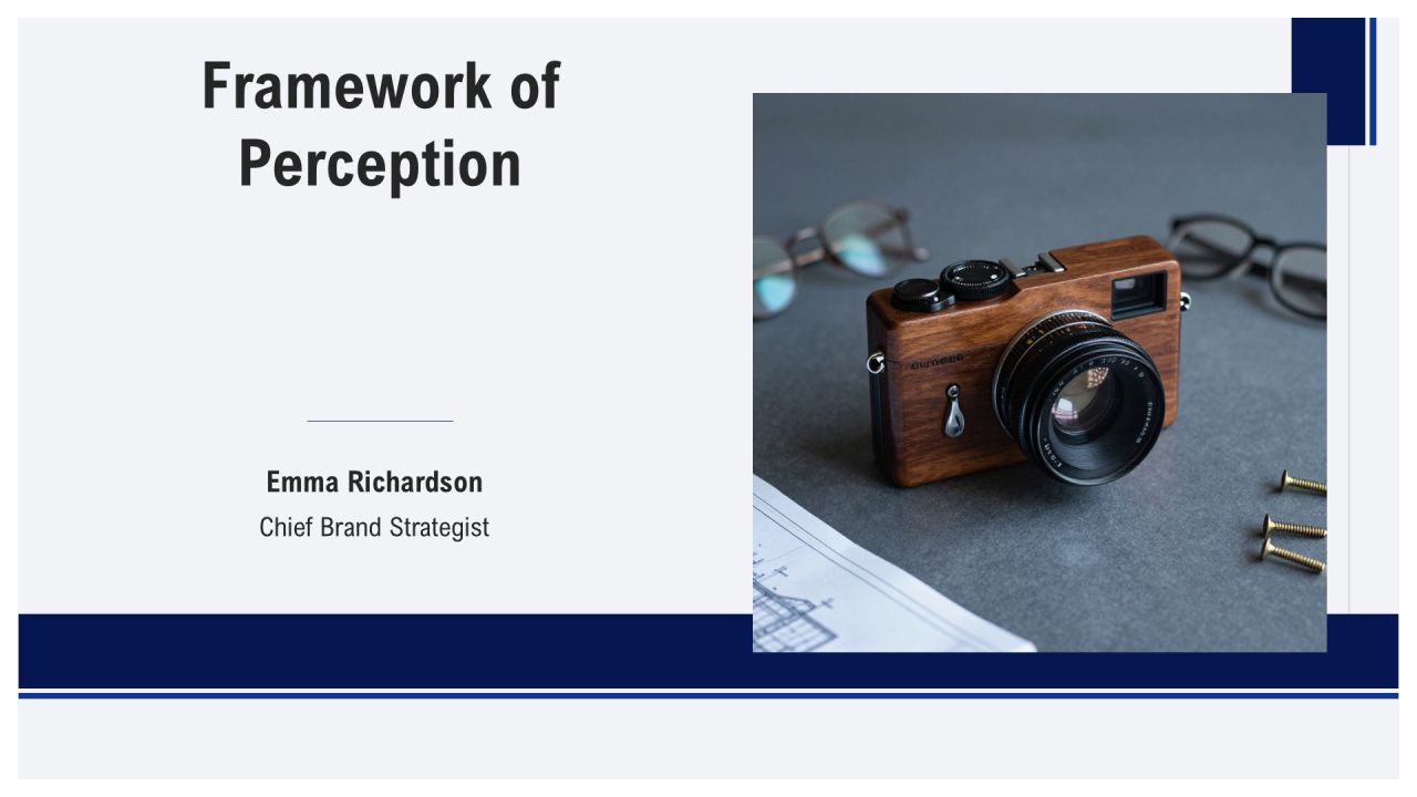 Framework of Perception PPT Sample VA