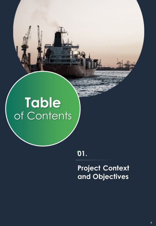 Freight Check Up Software Suite Proposal Report Sample Example Document Graphical Template