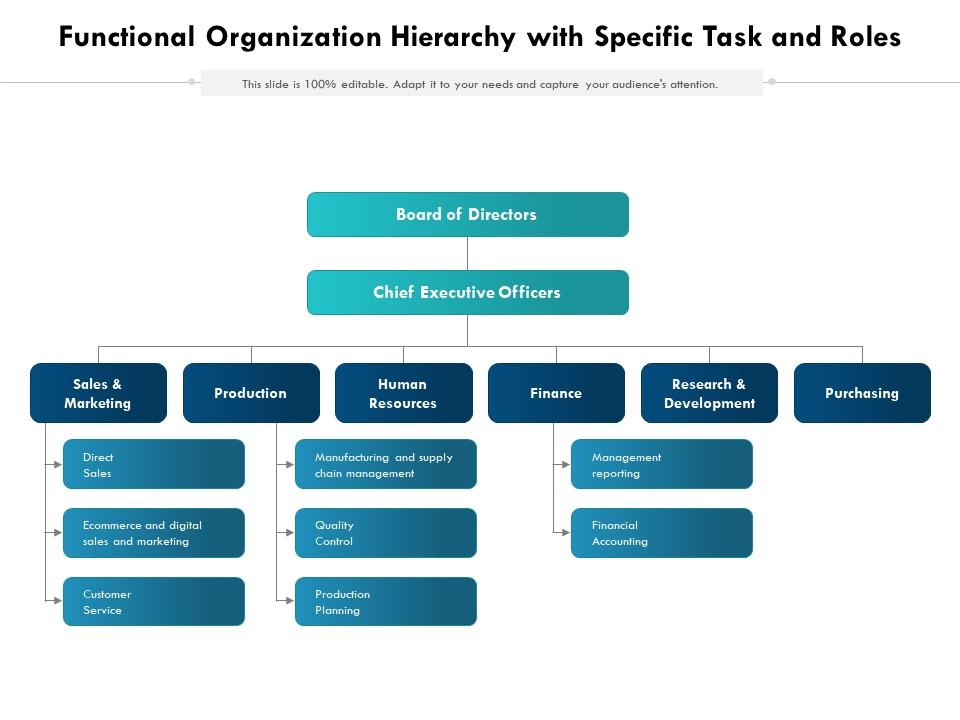 Functional Organization Hierarchy With Specific Task And Roles