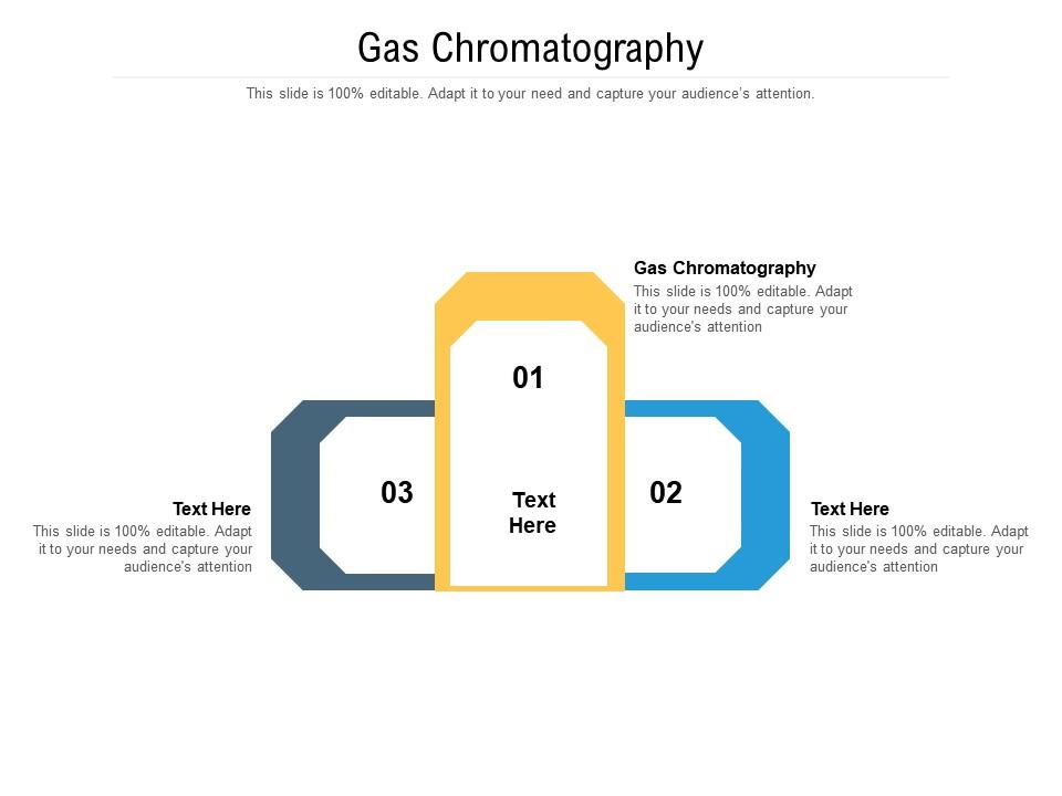 Gas Chromatography Ppt Powerpoint Presentation Gallery Slide Portrait