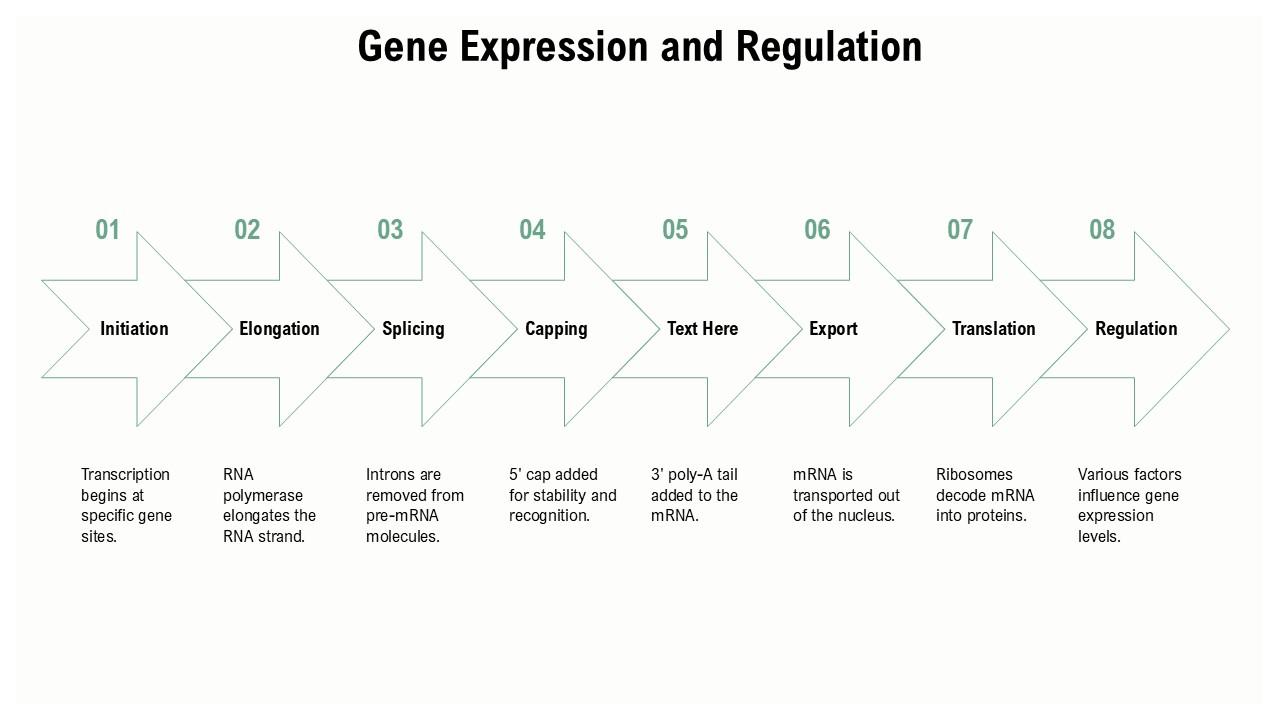 Regulation Of Gene Expression Ppt Regulation Of Transcription And