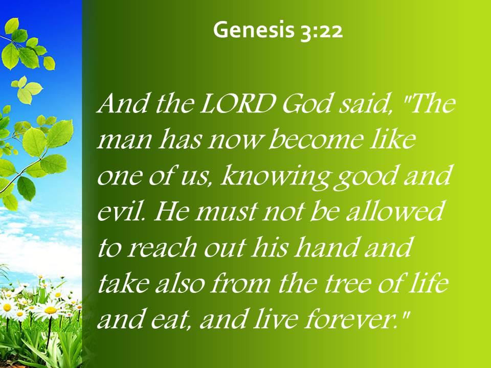 Genesis 3 22 The Tree Of Life And Eat Powerpoint Church Sermon