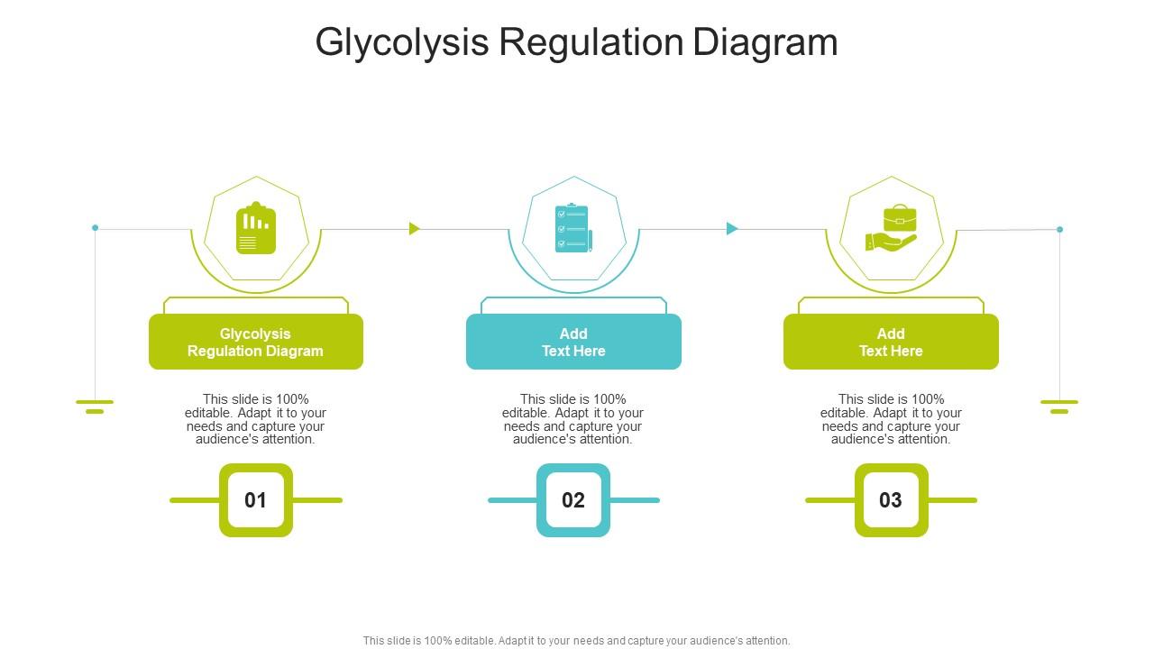 Glycolysis Regulation Diagram In Powerpoint And Google Slides Cpb PPT ...
