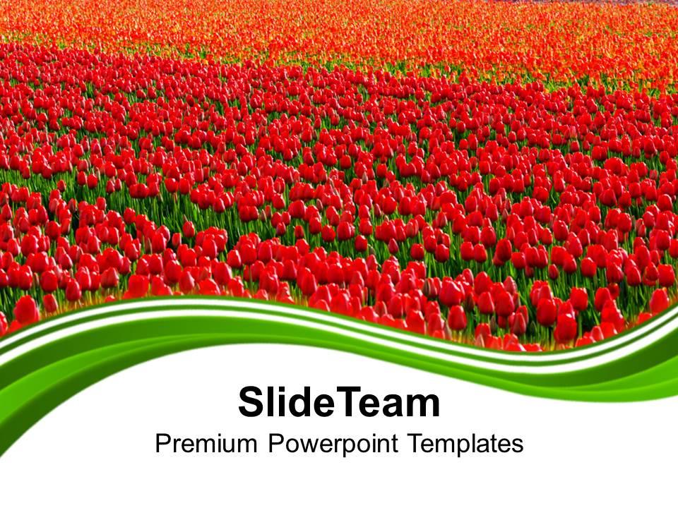 green_fields_of_red_tulips_powerpoint_templates_ppt_backgrounds_for_slides_0213_Slide01
