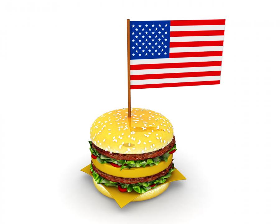 hamburger_with_flag_of_america_stock_photo_Slide01