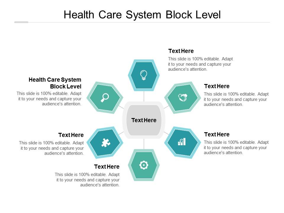 Health Care System Block Level Ppt Powerpoint Presentation File Objects