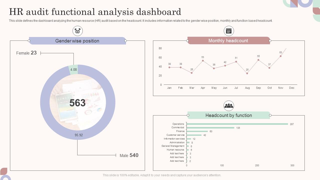 HR Audit Functional Analysis Dashboard Slide01