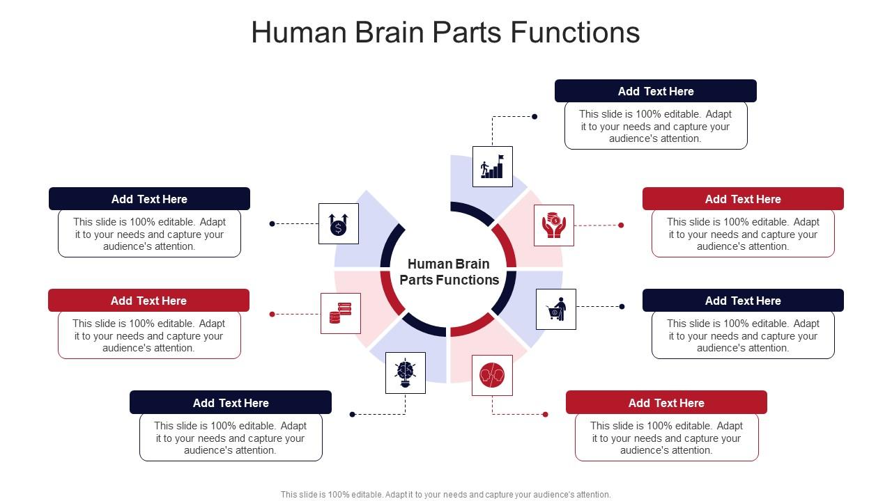 Human Brain Parts Functions In Powerpoint And Google Slides Cpb Ppt Human Brain Parts Functions In Powerpoint And Google Slides Cpb Ppt