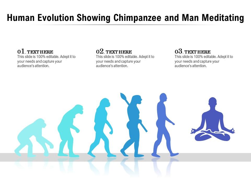 Human evolution showing chimpanzee and man meditating Slide00