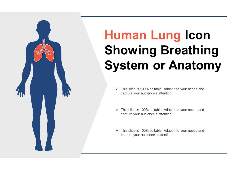 Human lung icon showing breathing system or anatomy Slide01