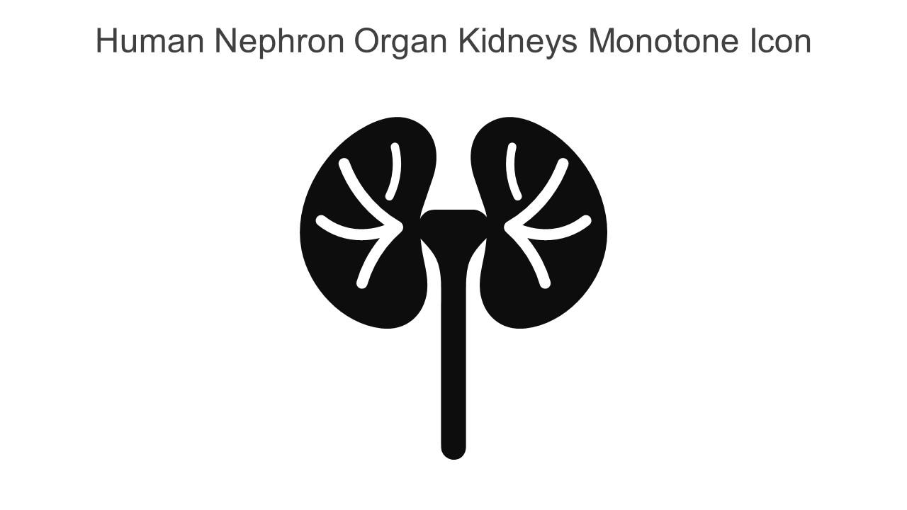 Human Nephron Organ Kidneys Monotone Icon In Powerpoint Pptx Png And Editable Eps Format