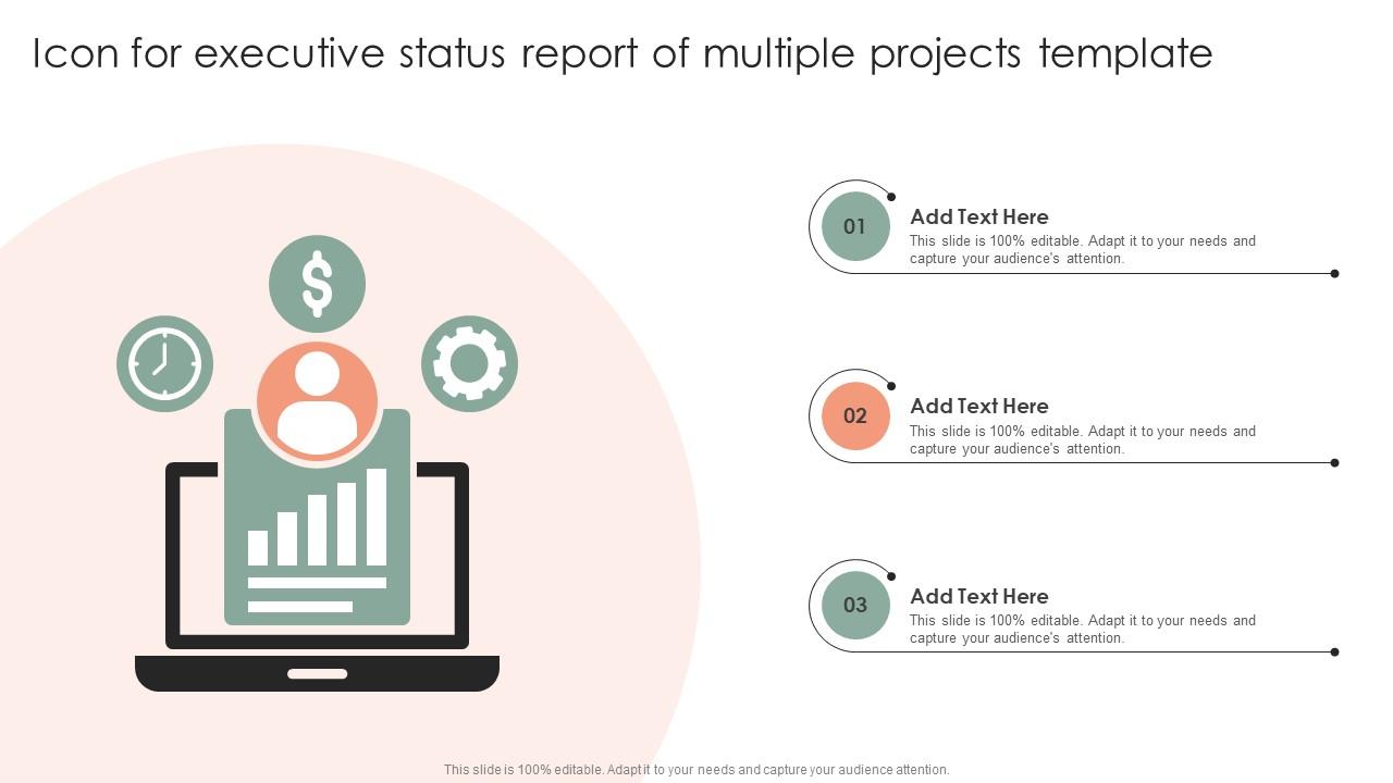 Icon For Executive Status Report Of Multiple Projects Template PPT Template