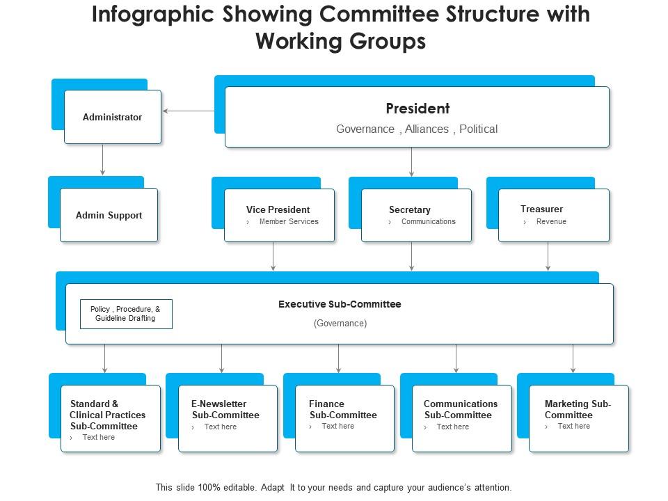 Infographic showing committee structure with working groups Slide00