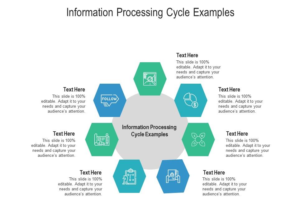 the information processing cycle consists of
