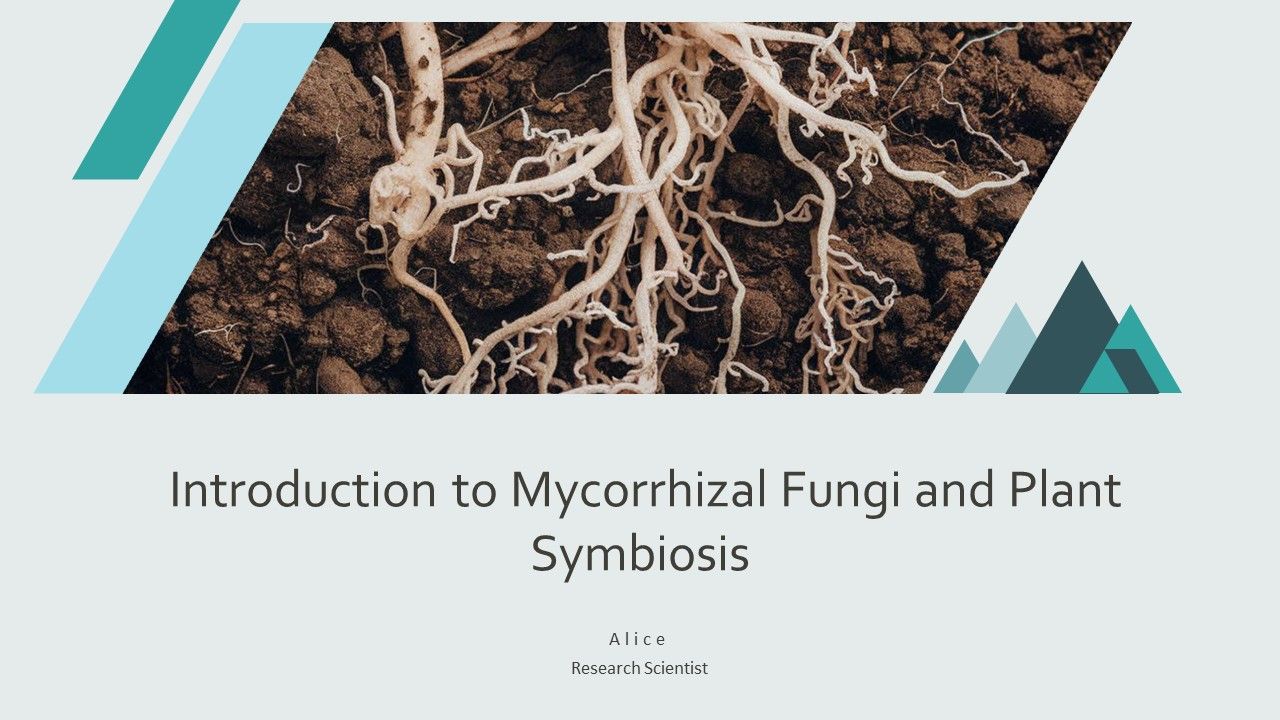 Introduction To Mycorrhizal Fungi And Plant Symbiosis PPT Information AT