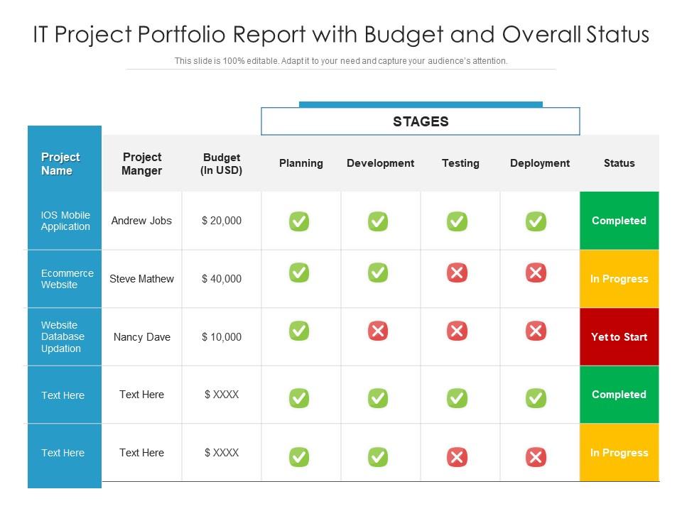 It project portfolio report with budget and overall status