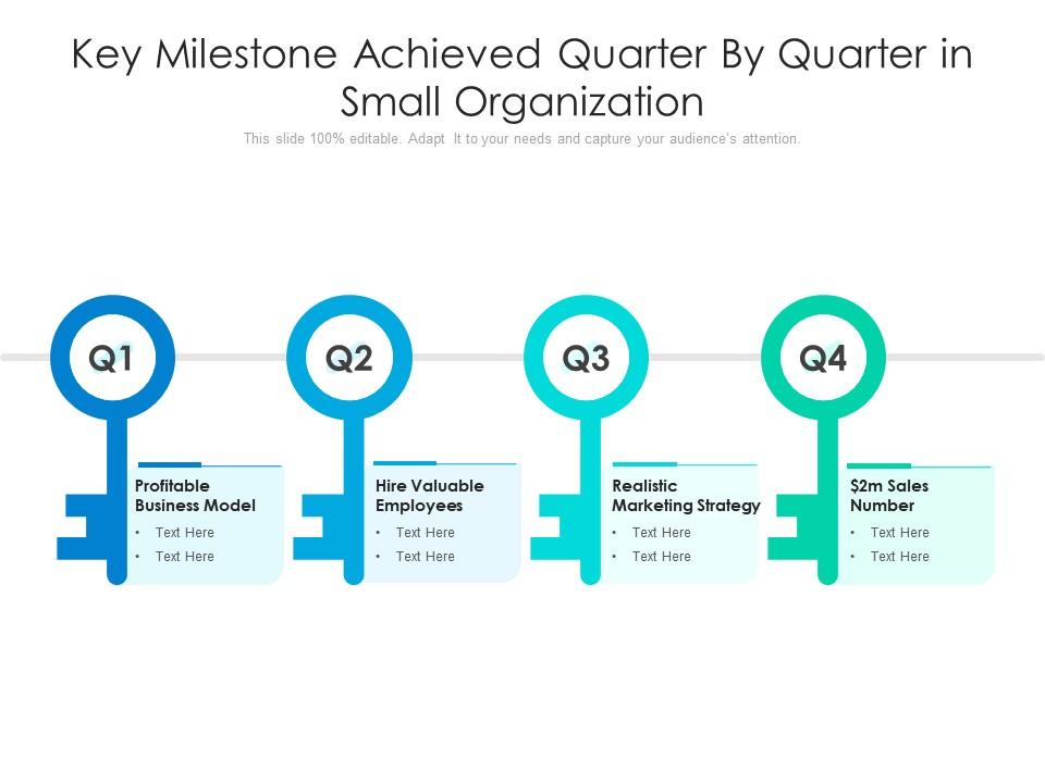 Key milestone achieved quarter by quarter in small organization