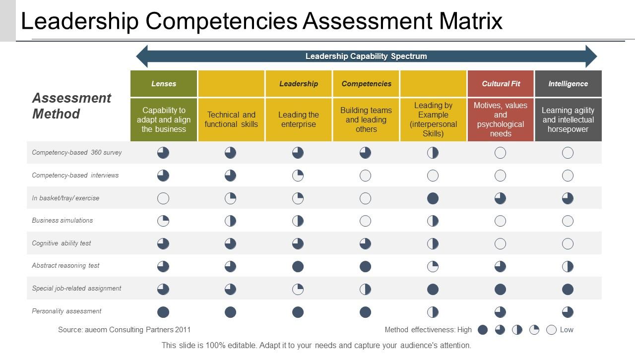 leadership_competencies_assessment_matrix_Slide01